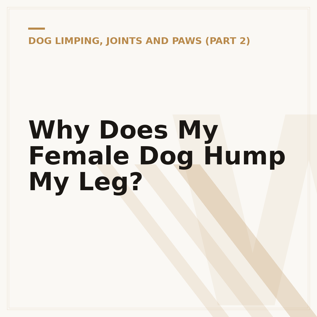 Why Does My Female Dog Hump My Leg?