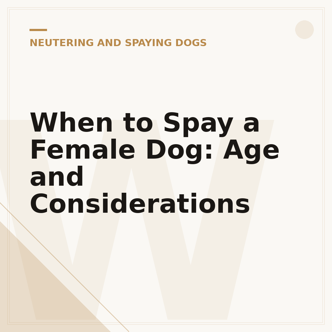 When to Spay a Female Dog: Age and Considerations
