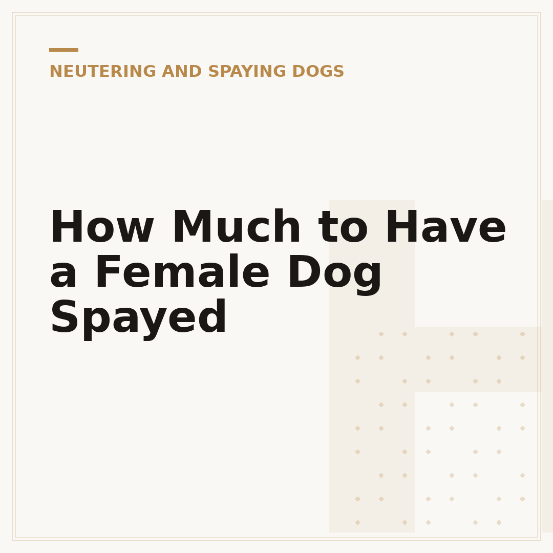 How Much to Have a Female Dog Spayed