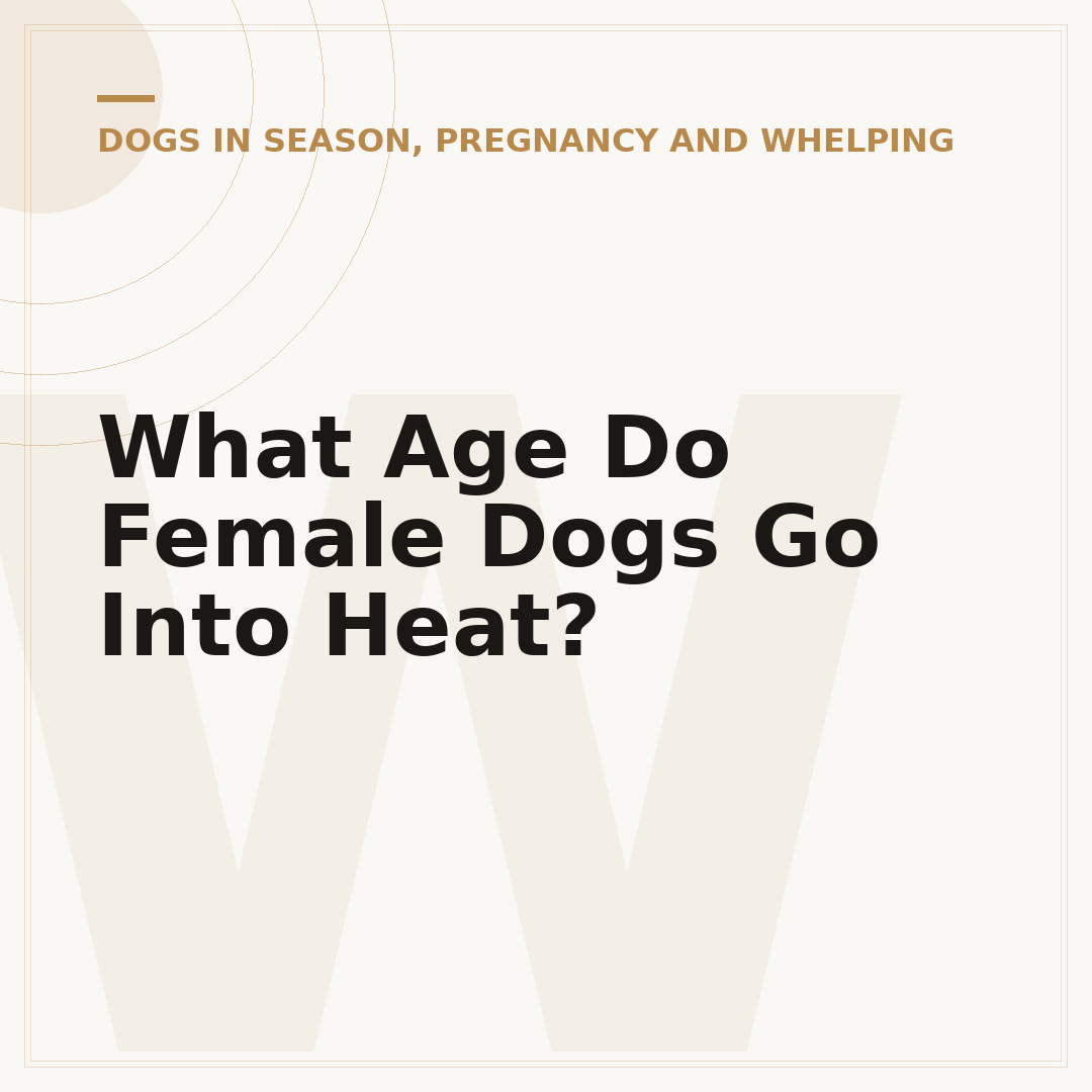 What Age Do Female Dogs Go Into Heat?