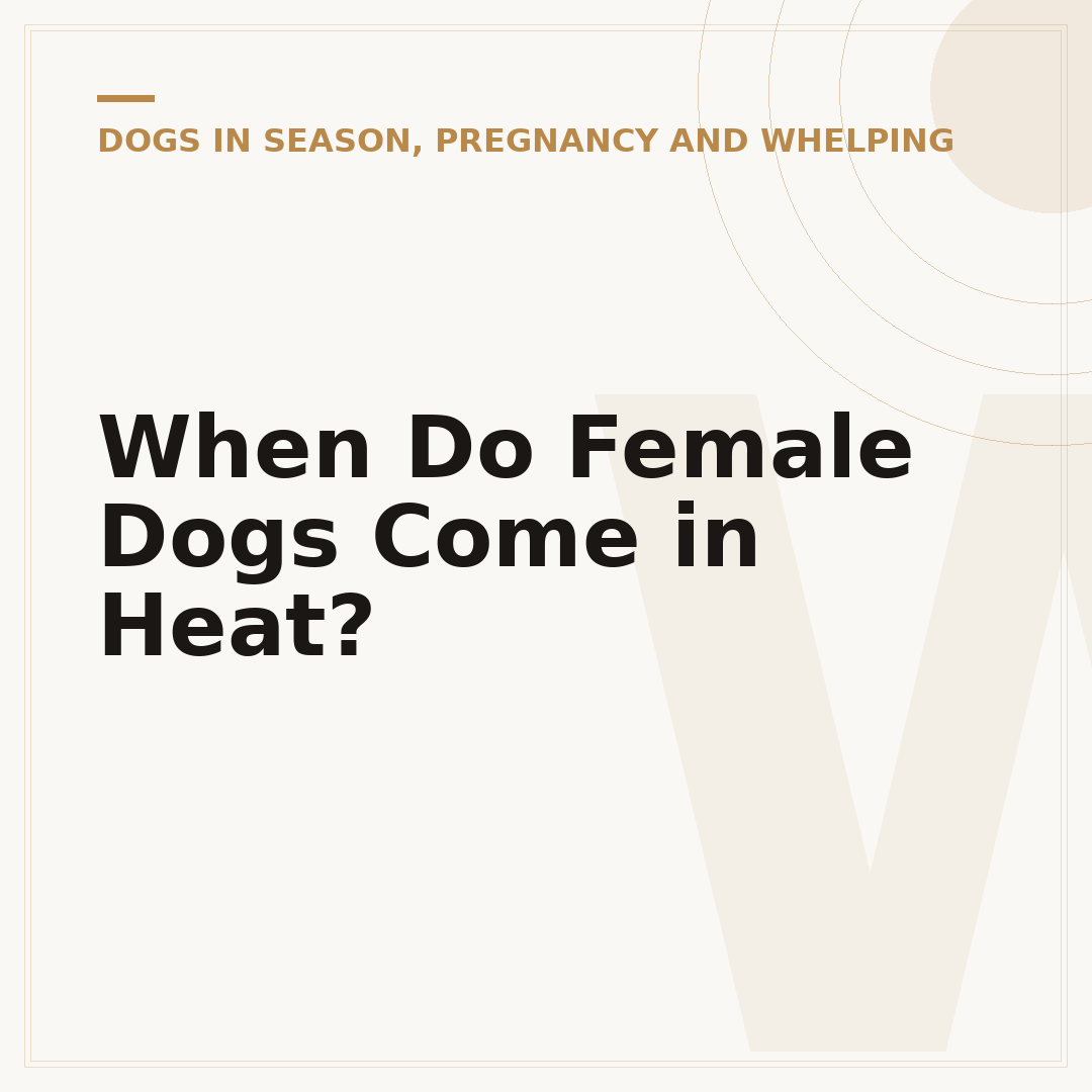 When Do Female Dogs Come in Heat?