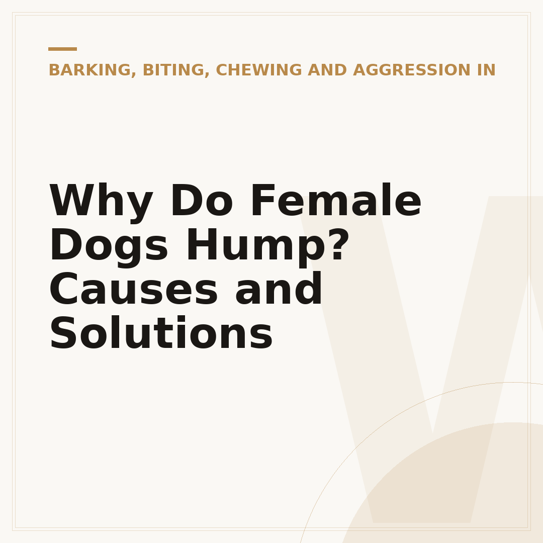 Why Do Female Dogs Hump? Causes and Solutions