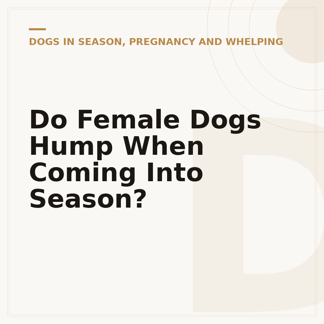 Do Female Dogs Hump When Coming Into Season?
