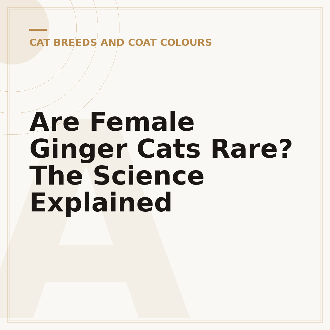 Are Female Ginger Cats Rare? The Science Explained