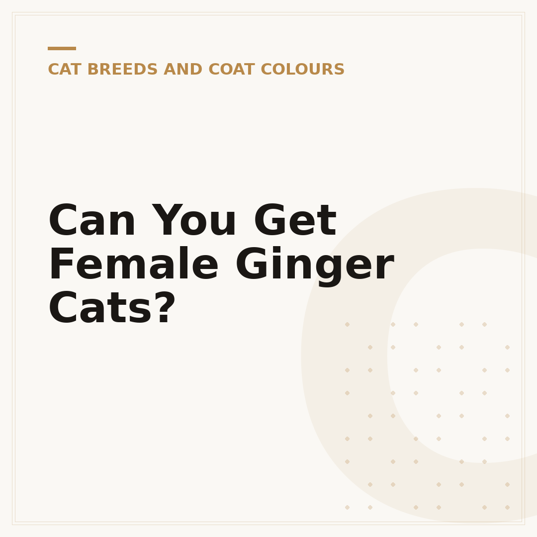 Can You Get Female Ginger Cats?
