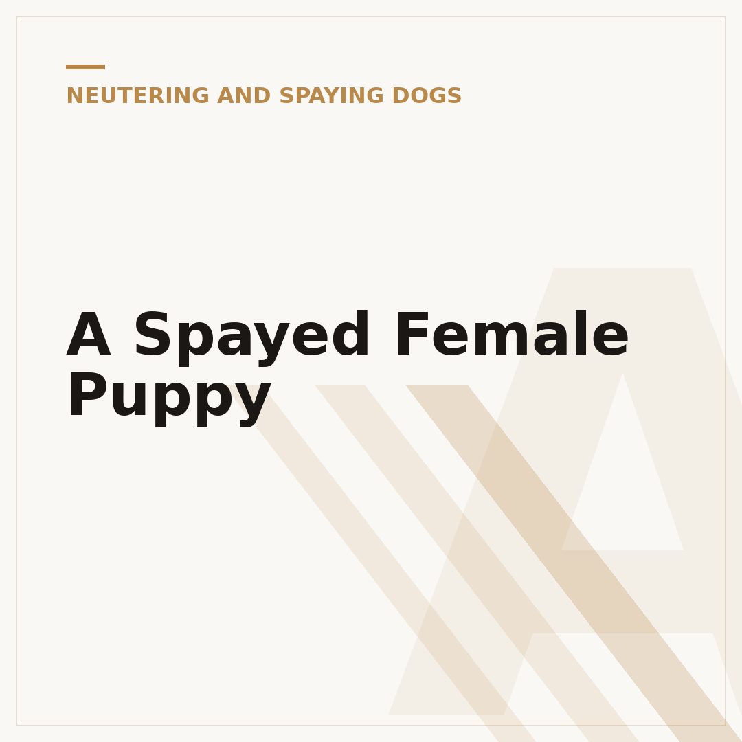 A Spayed Female Puppy