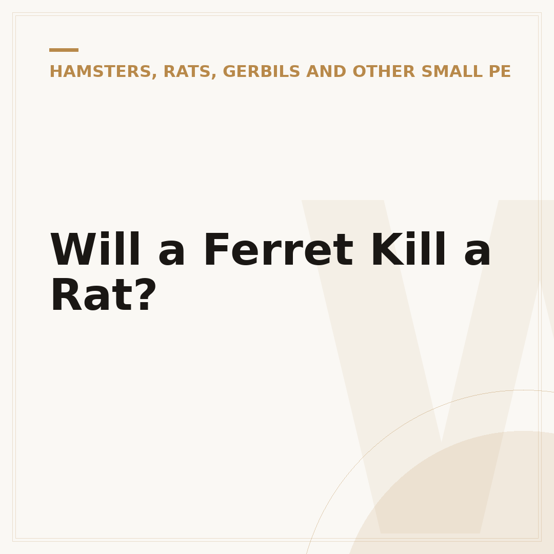 Will a Ferret Kill a Rat?