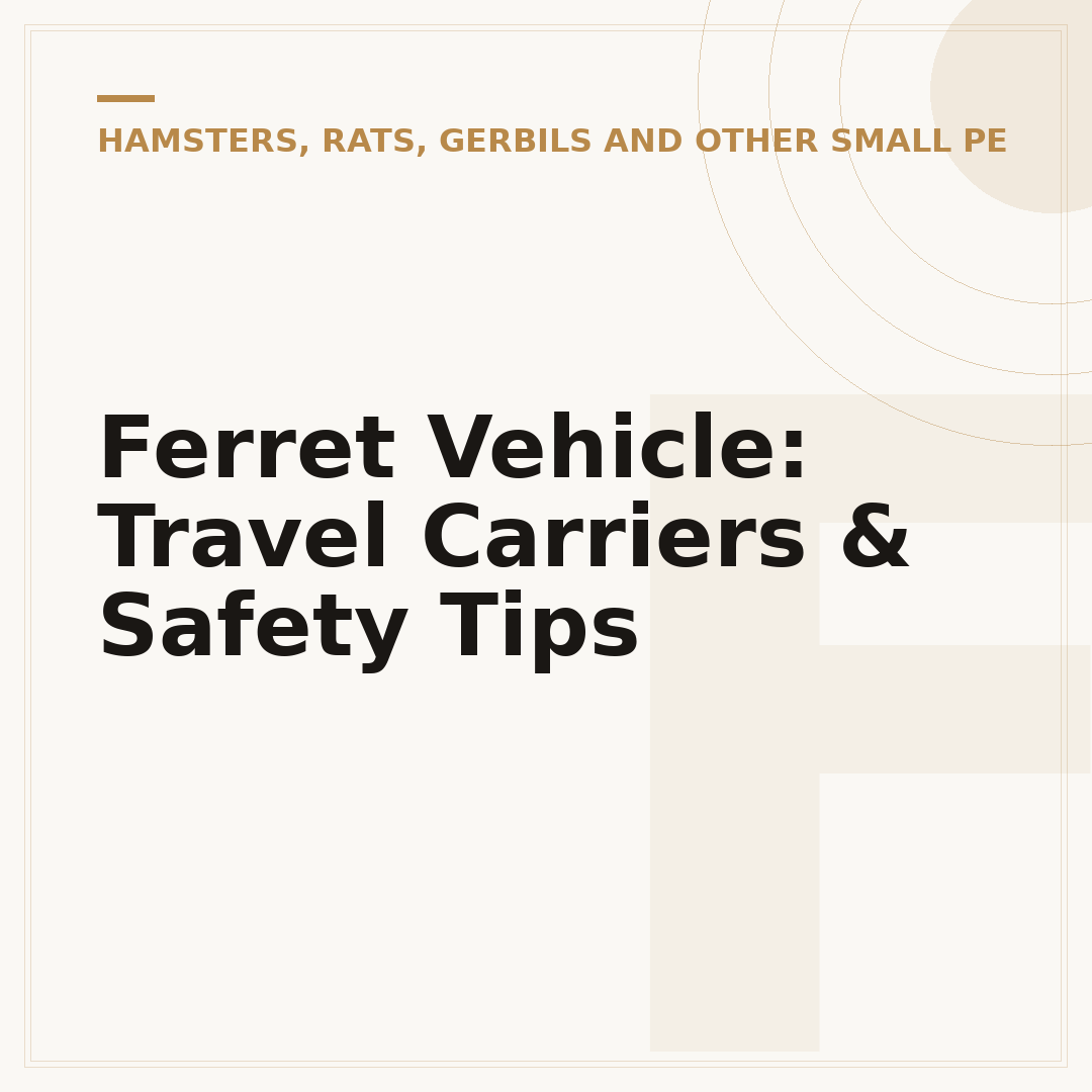Ferret Vehicle: Travel Carriers & Safety Tips