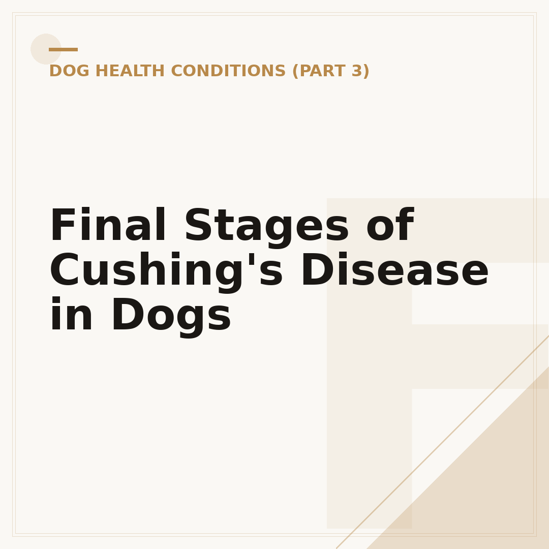Final Stages of Cushing's Disease in Dogs