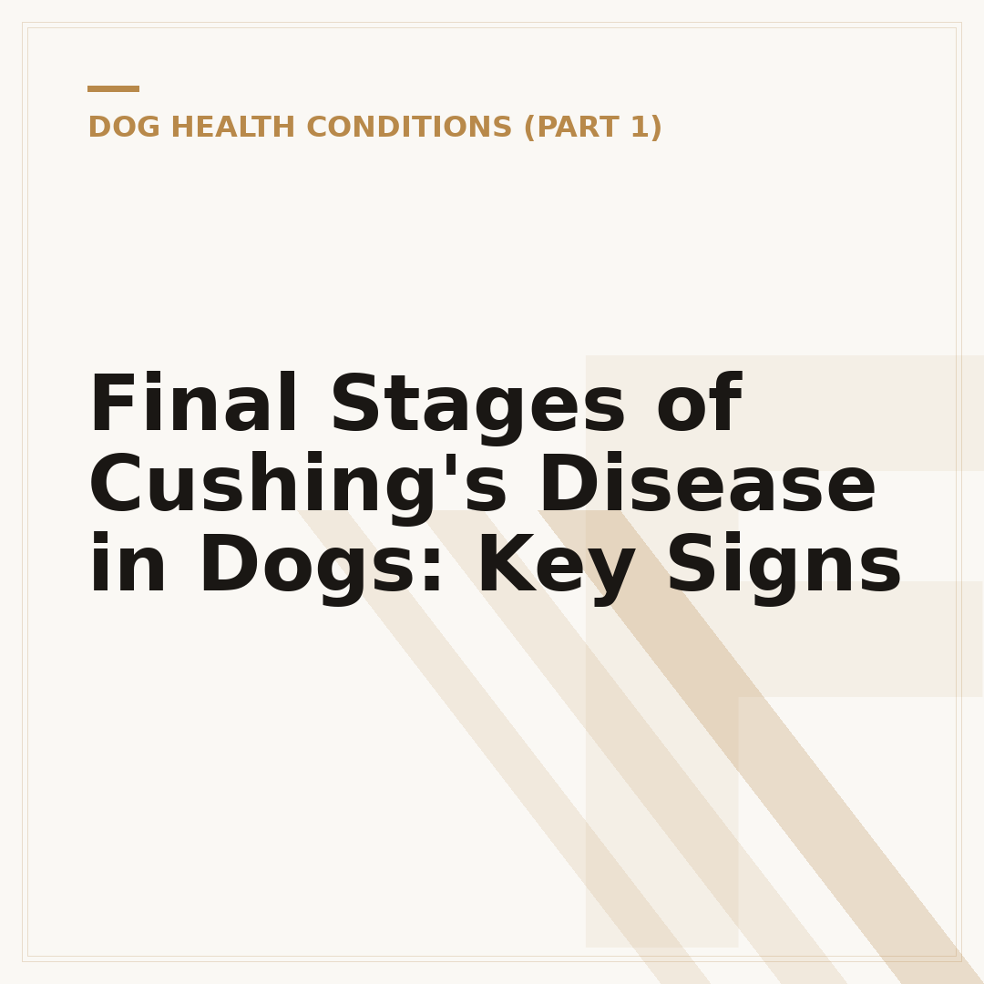Final Stages of Cushing's Disease in Dogs: Key Signs