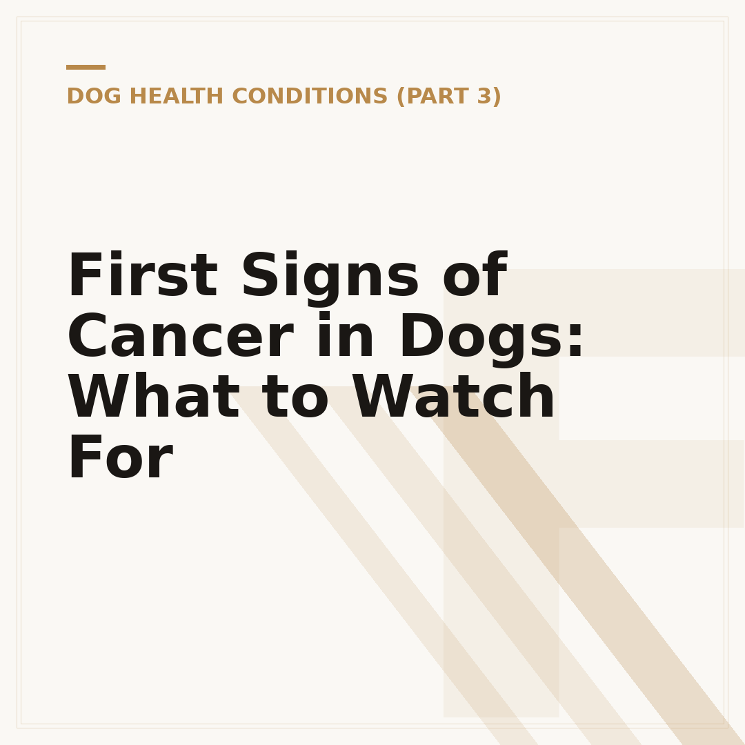 First Signs of Cancer in Dogs: What to Watch For