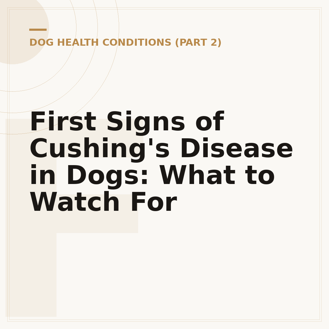 First Signs of Cushing's Disease in Dogs: What to Watch For