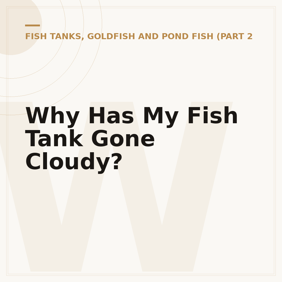 Why Has My Fish Tank Gone Cloudy?