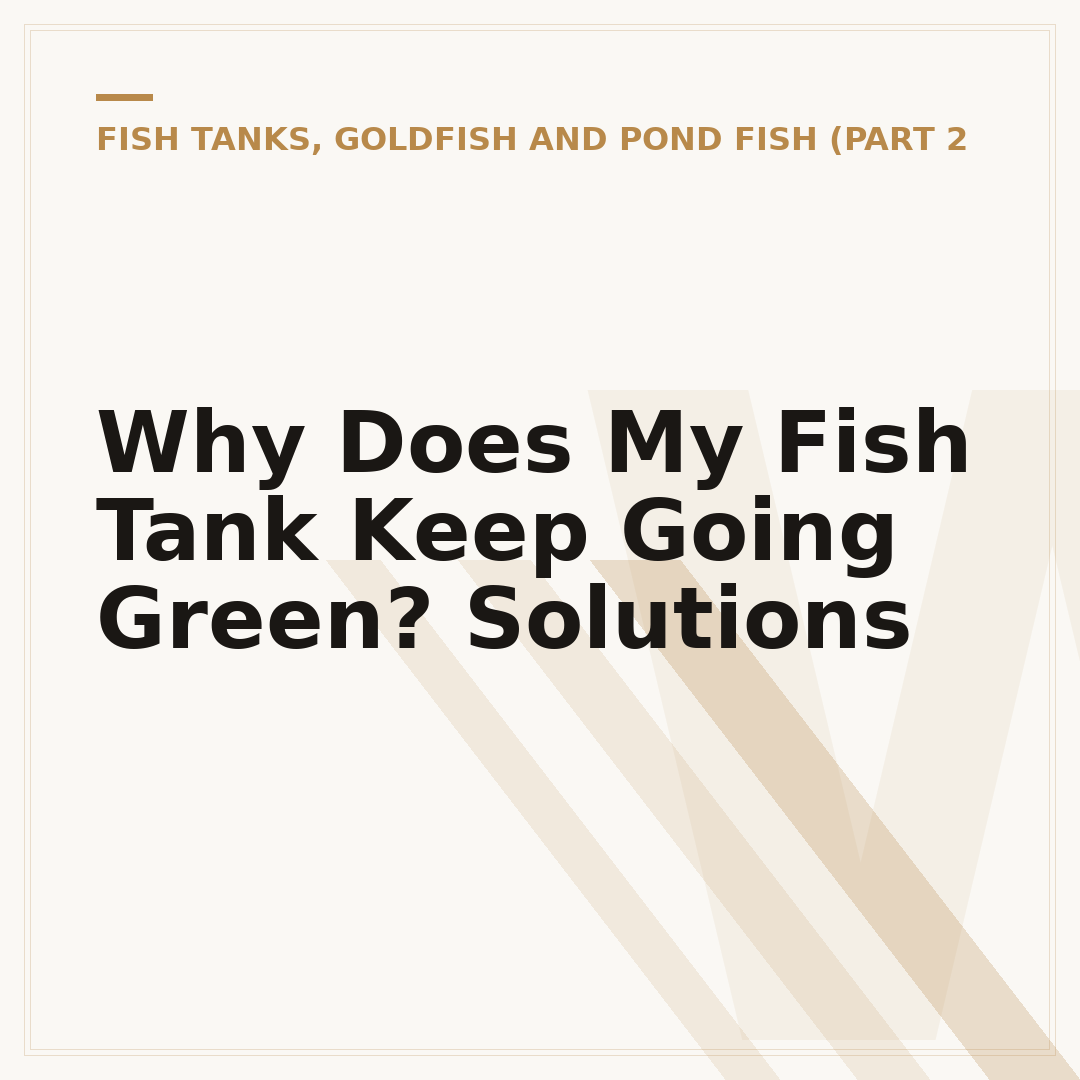 Why Does My Fish Tank Keep Going Green? Solutions
