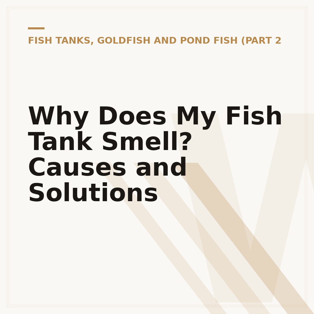 Why Does My Fish Tank Smell? Causes and Solutions