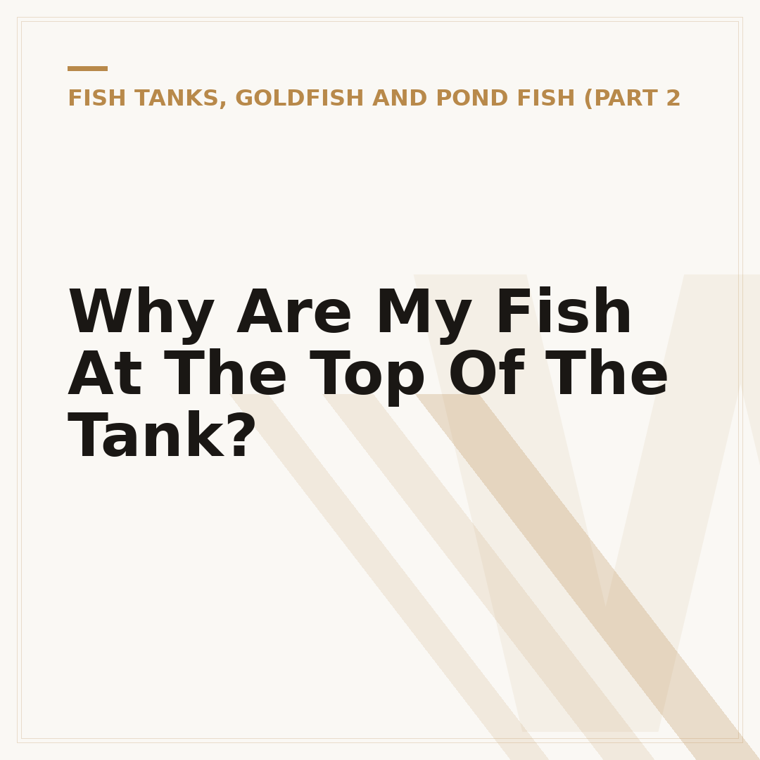 Why Are My Fish At The Top Of The Tank?