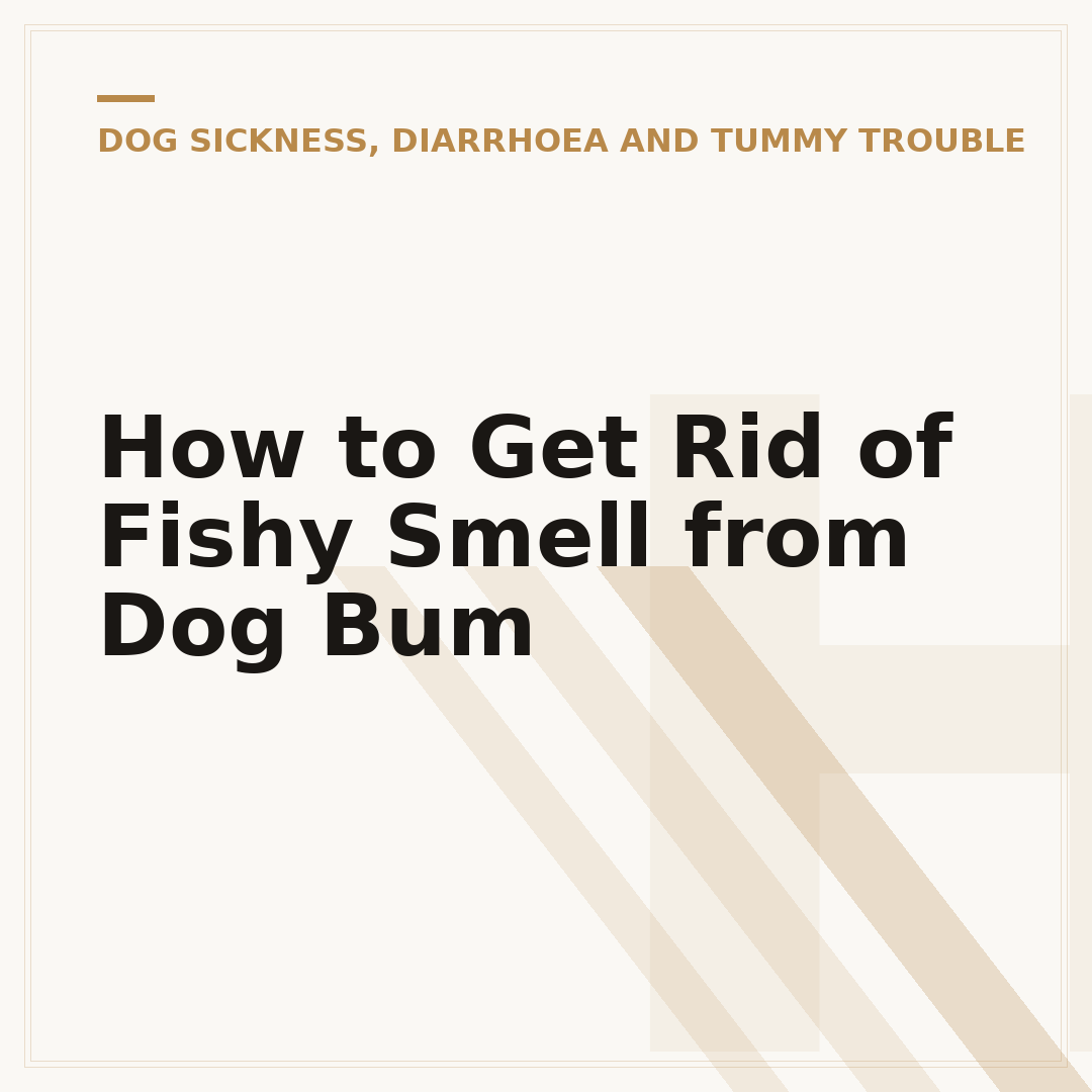 How to Get Rid of Fishy Smell from Dog Bum