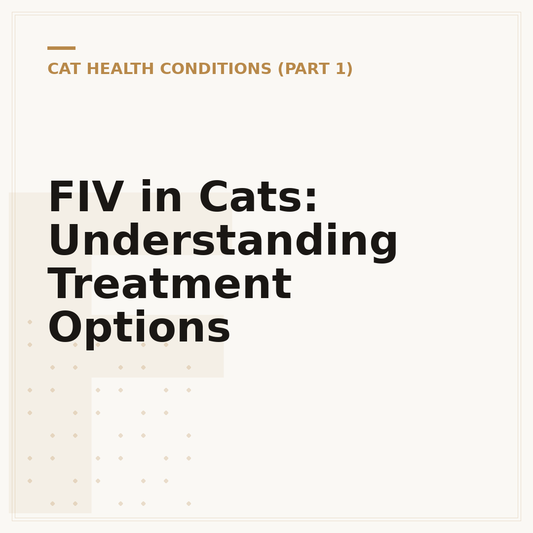 FIV in Cats: Understanding Treatment Options