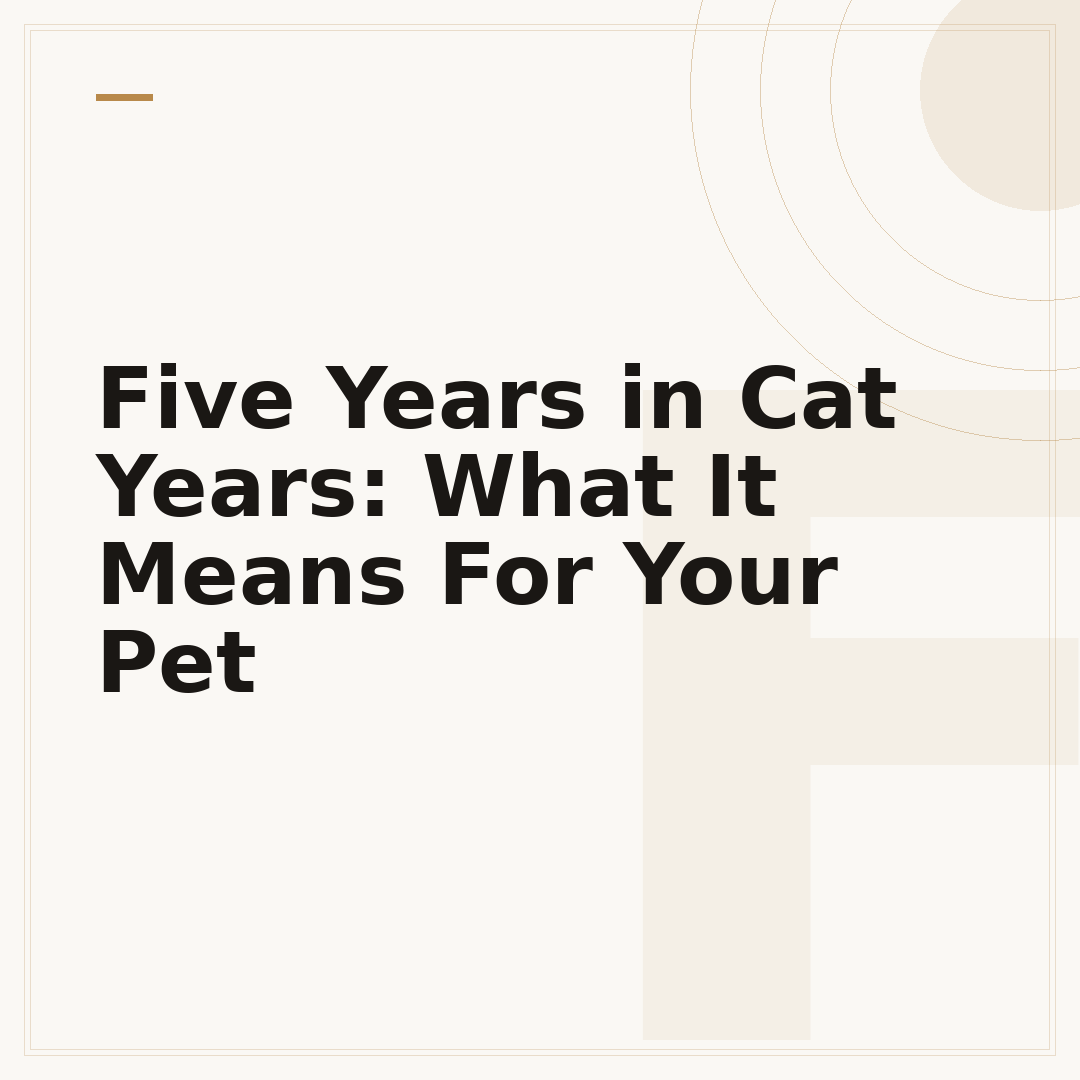 Five Years in Cat Years: What It Means For Your Pet