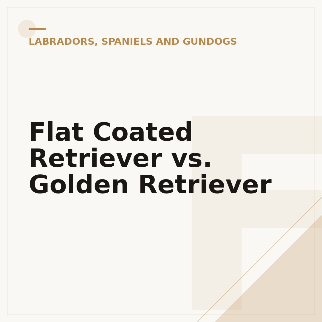 Flat Coated Retriever vs. Golden Retriever