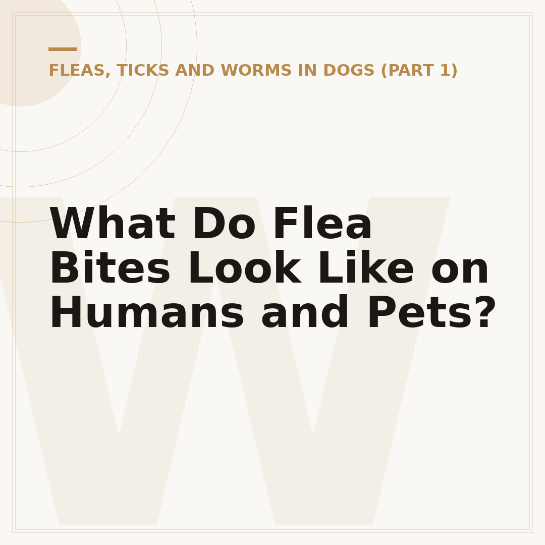 What Do Flea Bites Look Like on Humans and Pets?