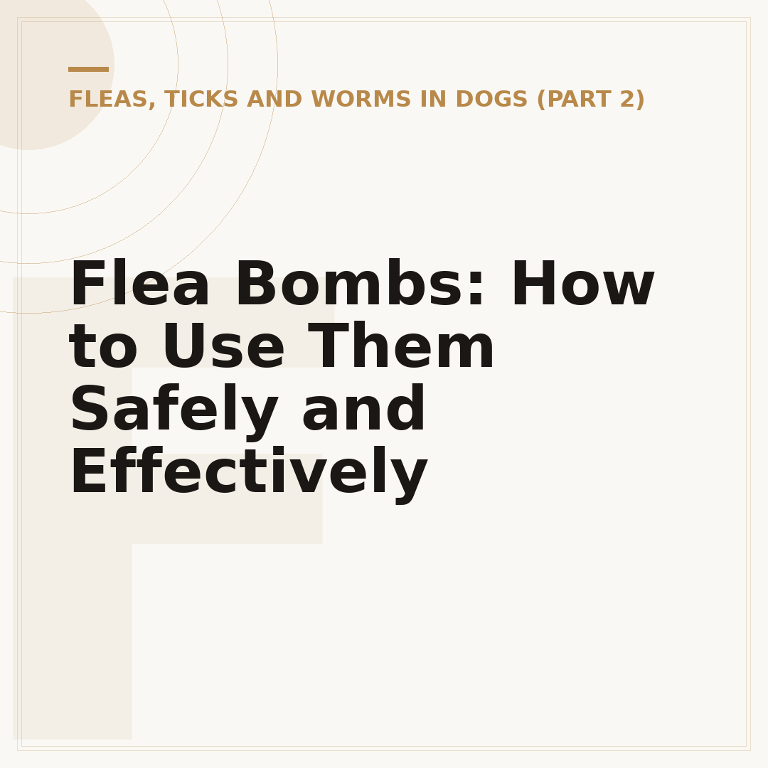 Flea Bombs: How to Use Them Safely and Effectively