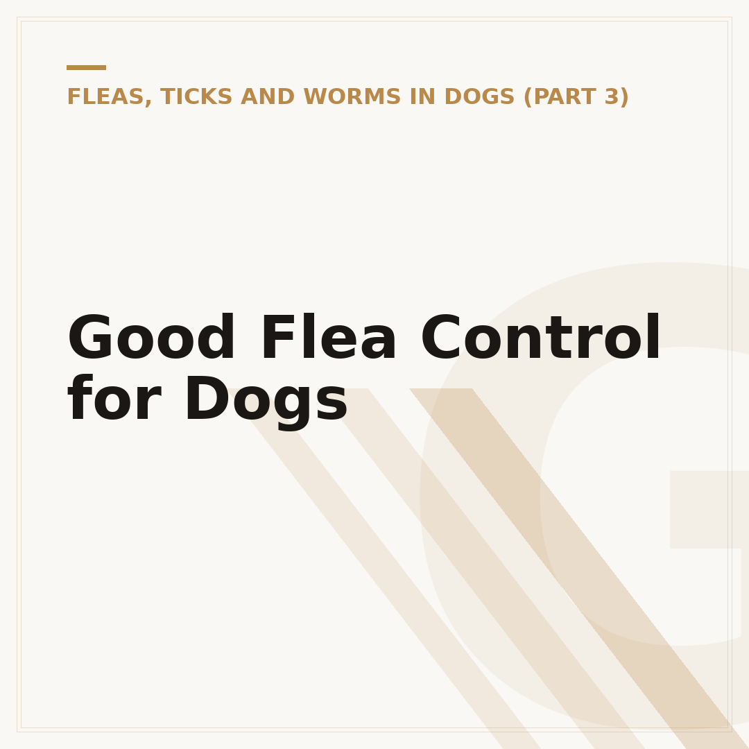 Good Flea Control for Dogs