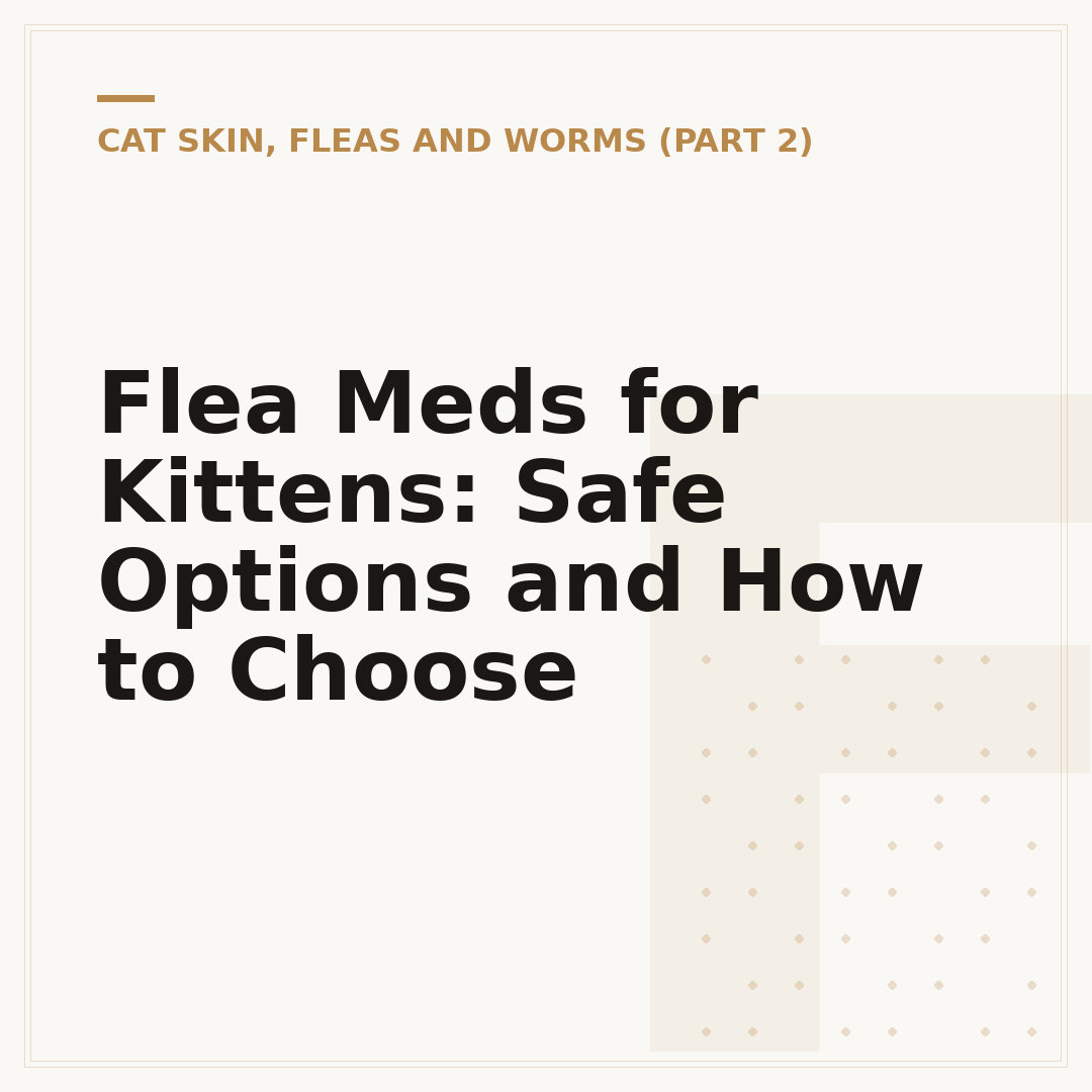 Flea Meds for Kittens: Safe Options and How to Choose