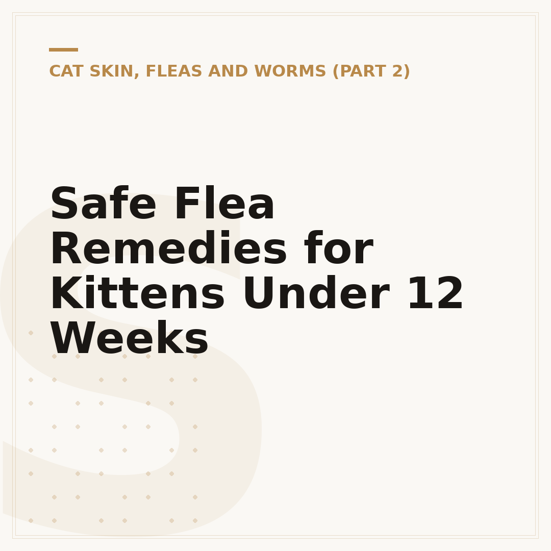 Safe Flea Remedies for Kittens Under 12 Weeks