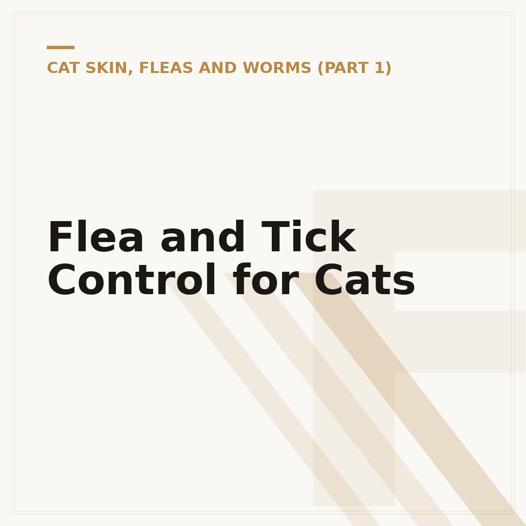 Flea and Tick Control for Cats