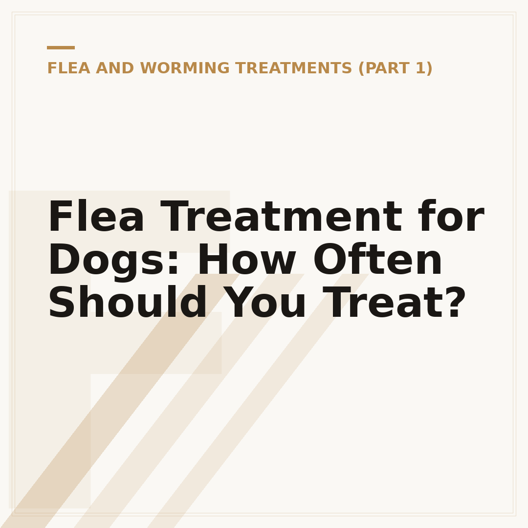 Flea Treatment for Dogs: How Often Should You Treat?