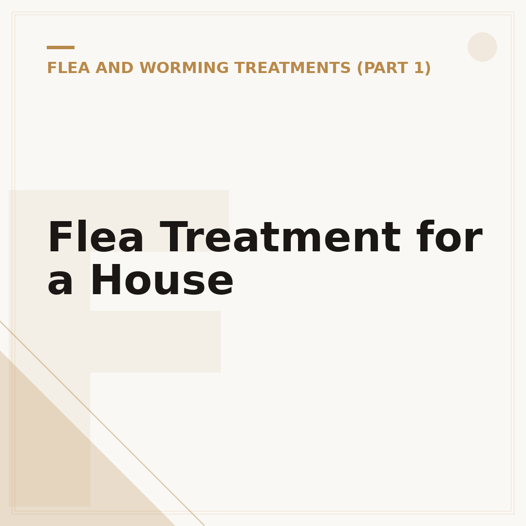 Flea Treatment for a House