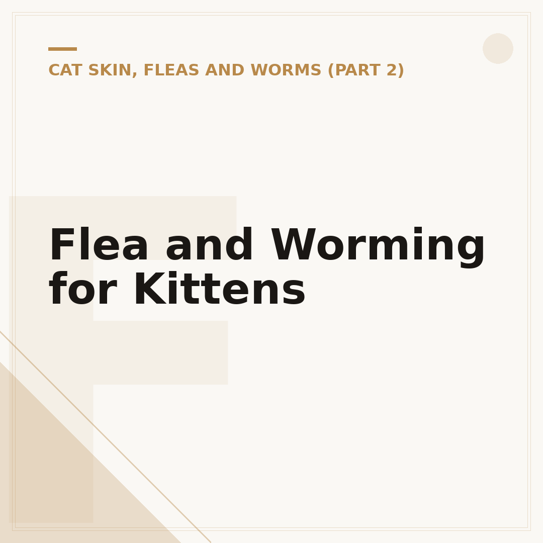 Flea and Worming for Kittens