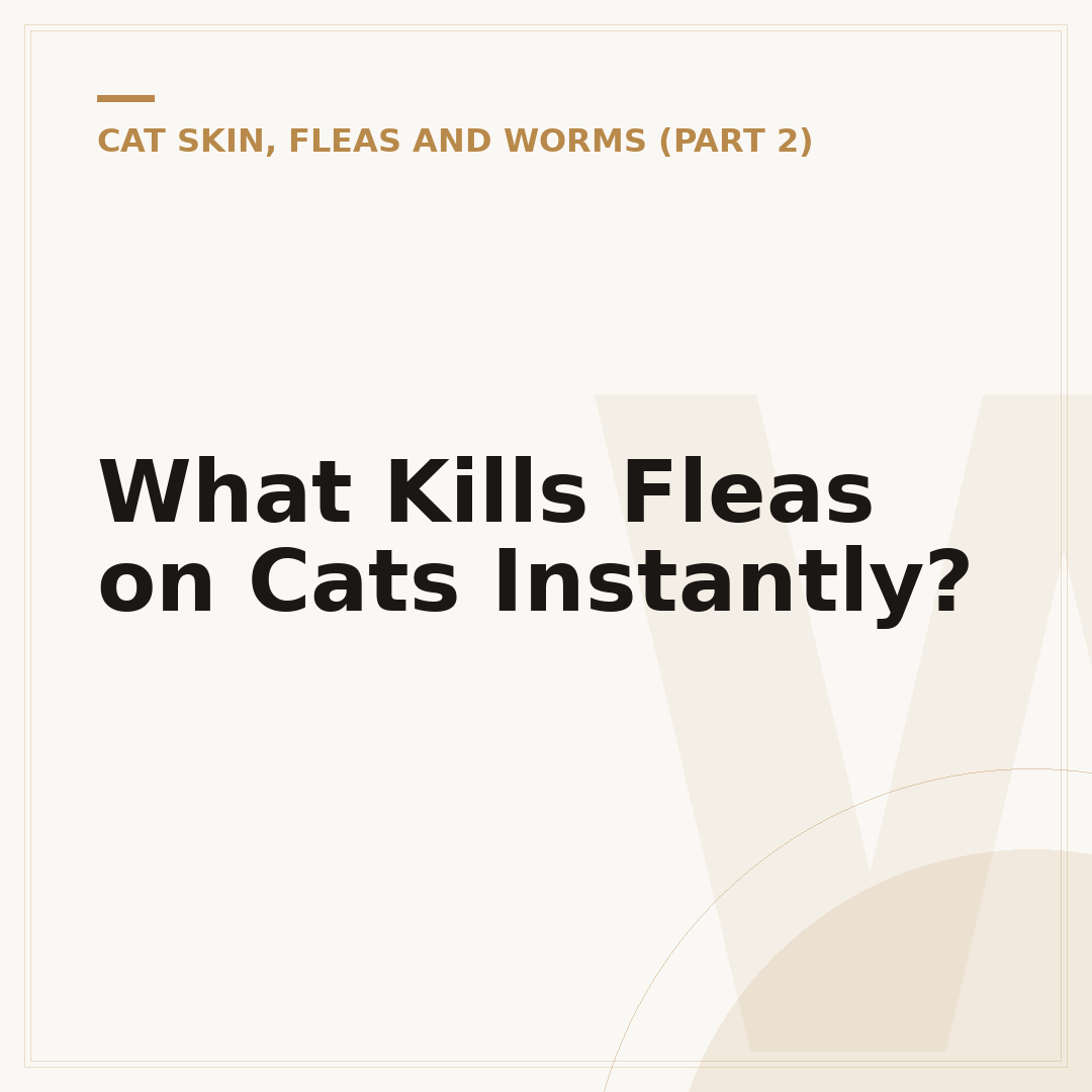 What Kills Fleas on Cats Instantly?