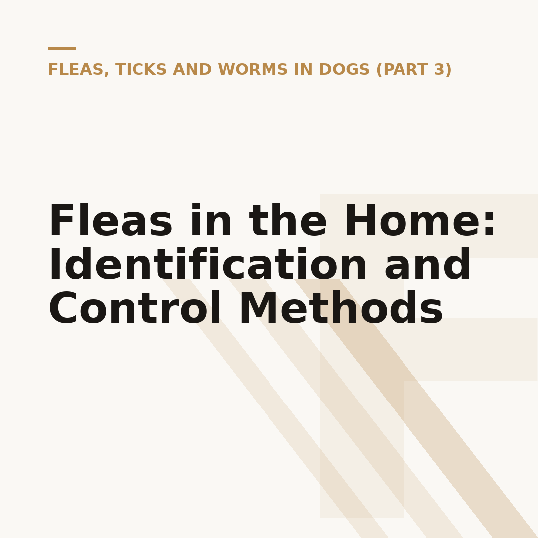 Fleas in the Home: Identification and Control Methods