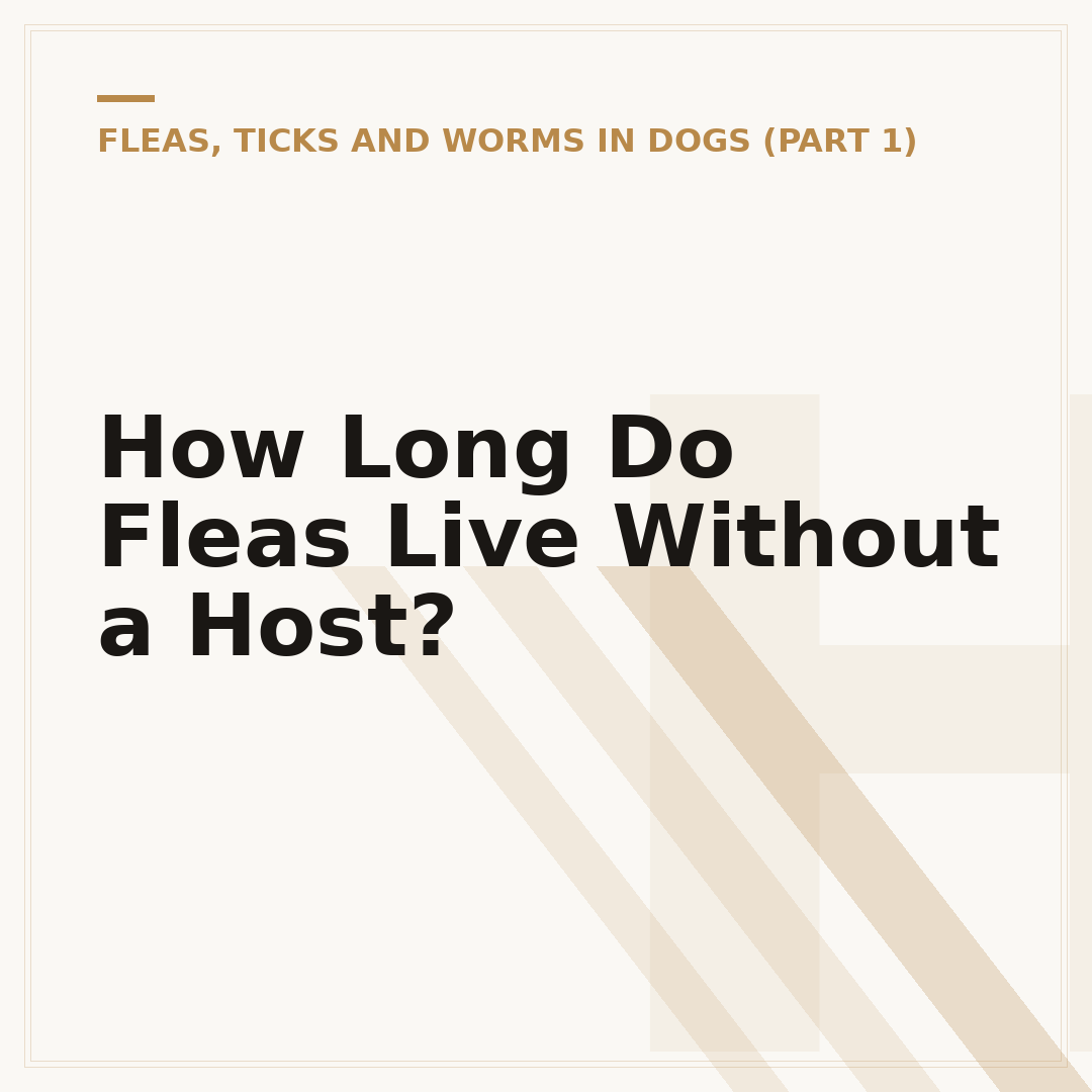 How Long Do Fleas Live Without a Host?