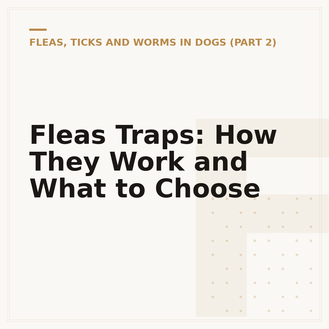 Fleas Traps: How They Work and What to Choose