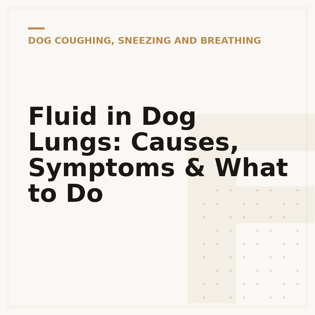 Fluid in Dog Lungs: Causes, Symptoms & What to Do