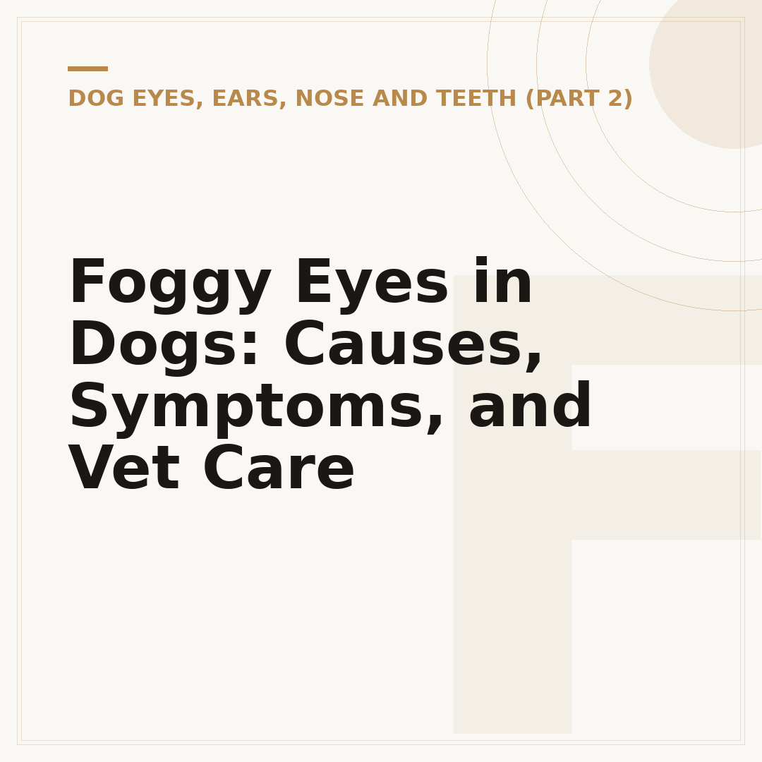 Foggy Eyes in Dogs: Causes, Symptoms, and Vet Care