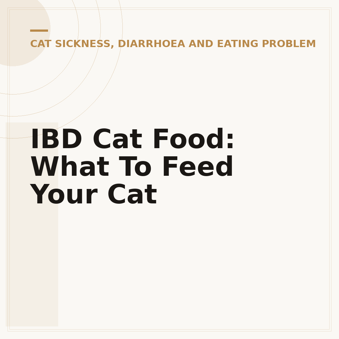 IBD Cat Food: What To Feed Your Cat