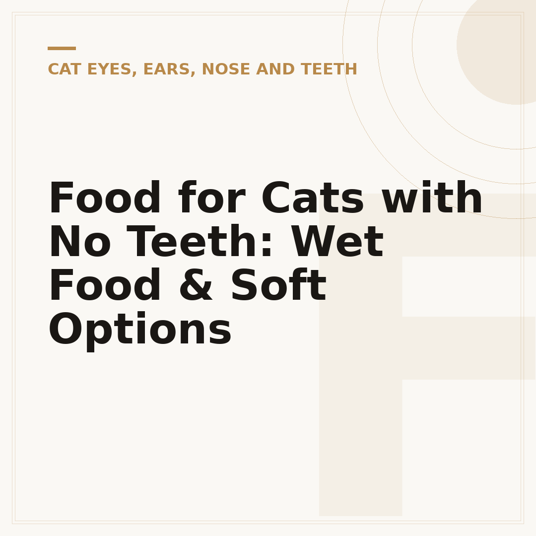 Food for Cats with No Teeth: Wet Food & Soft Options