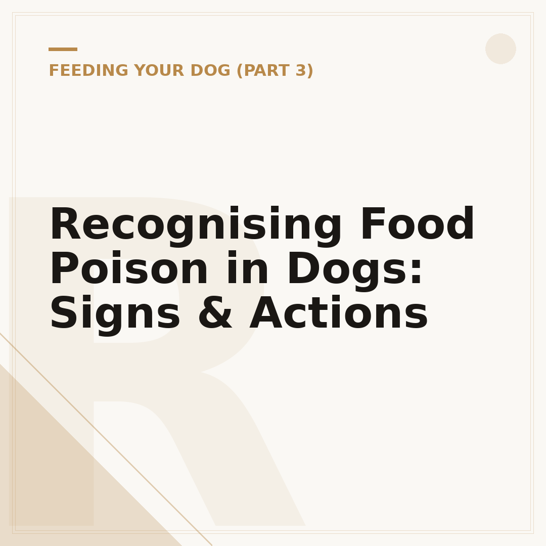 Recognising Food Poison in Dogs: Signs & Actions