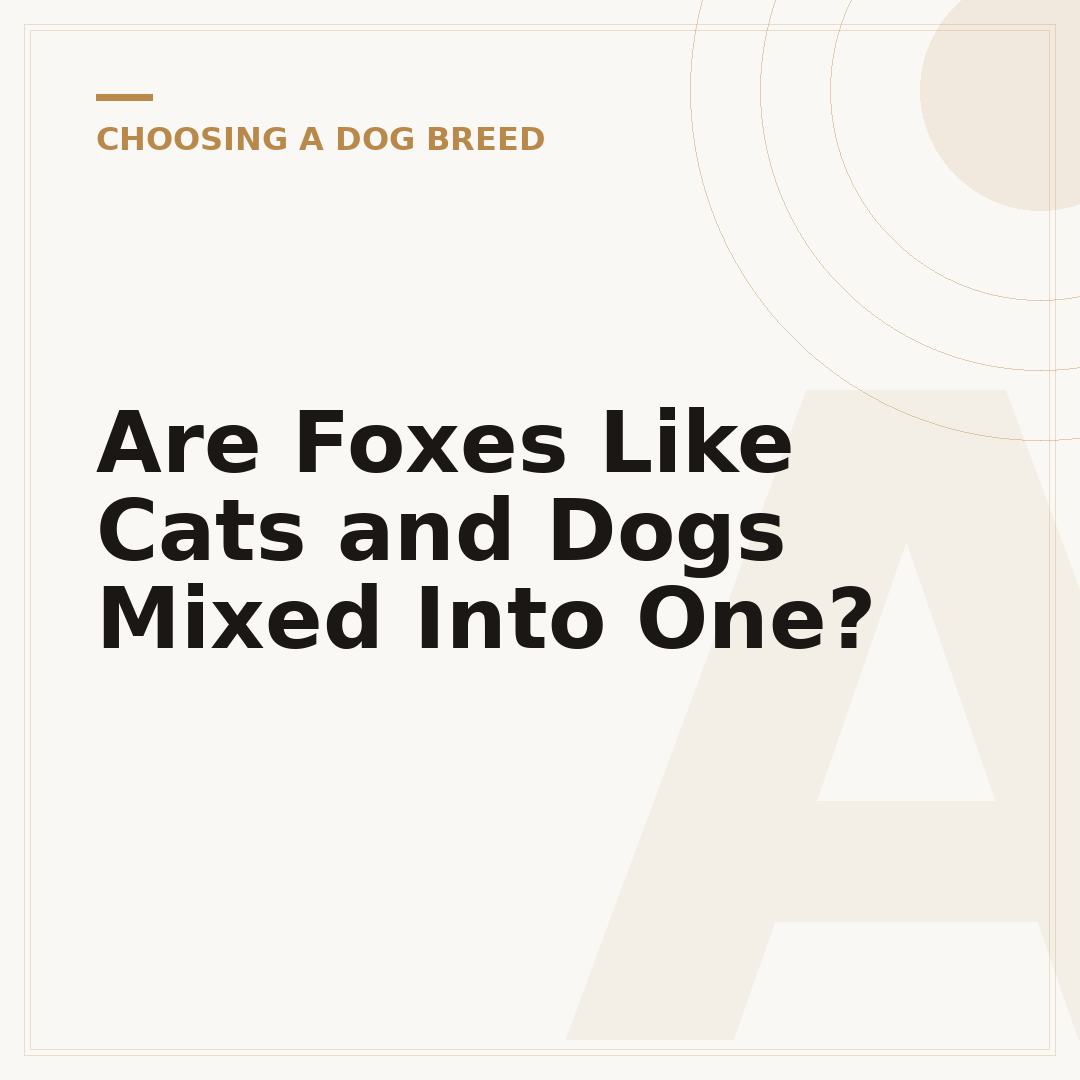 Are Foxes Like Cats and Dogs Mixed Into One?