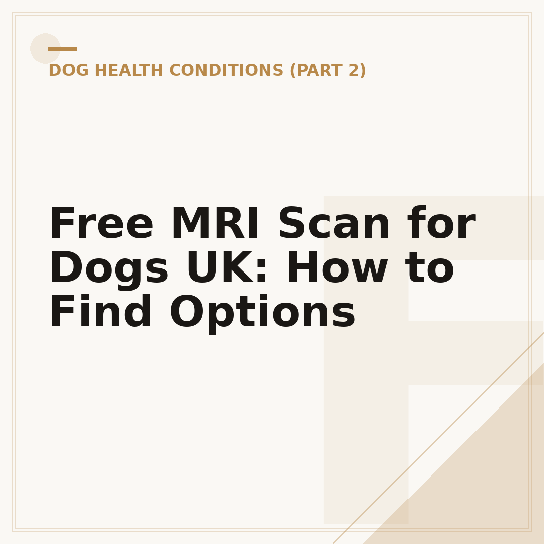 Free MRI Scan for Dogs UK: How to Find Options