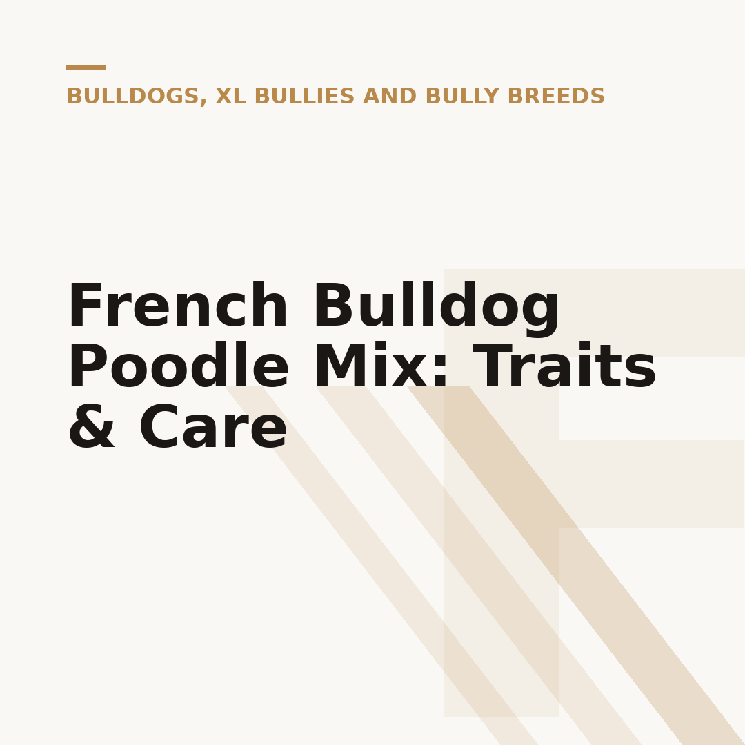 French Bulldog Poodle Mix: Traits & Care