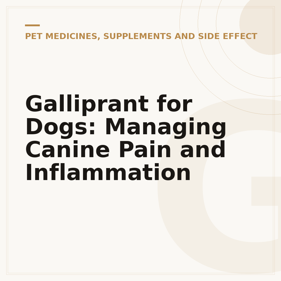 Galliprant for Dogs: Managing Canine Pain and Inflammation