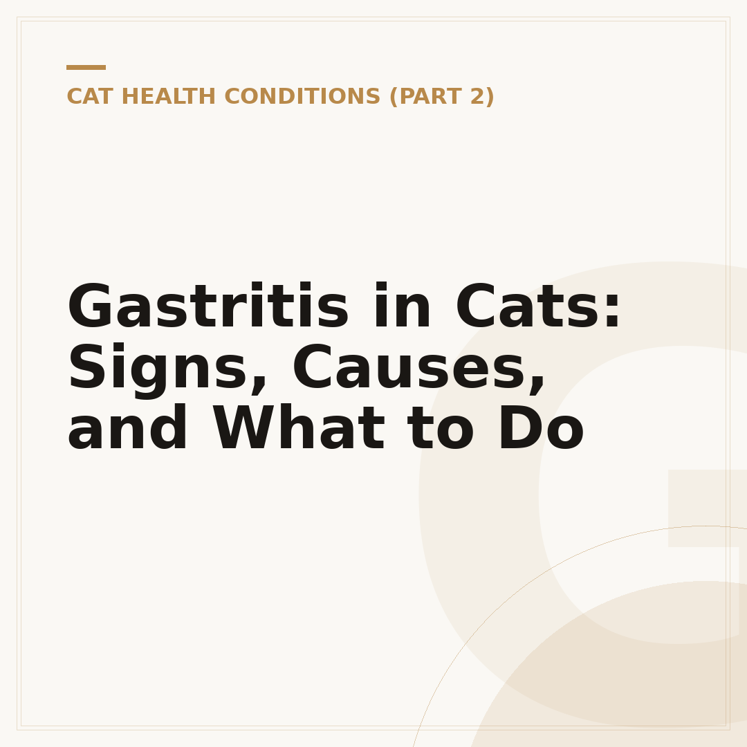 Gastritis in Cats: Signs, Causes, and What to Do
