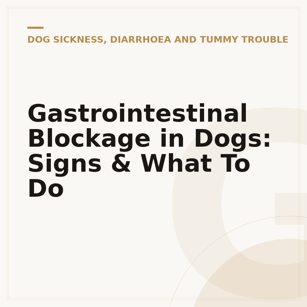 Gastrointestinal Blockage in Dogs: Signs & What To Do