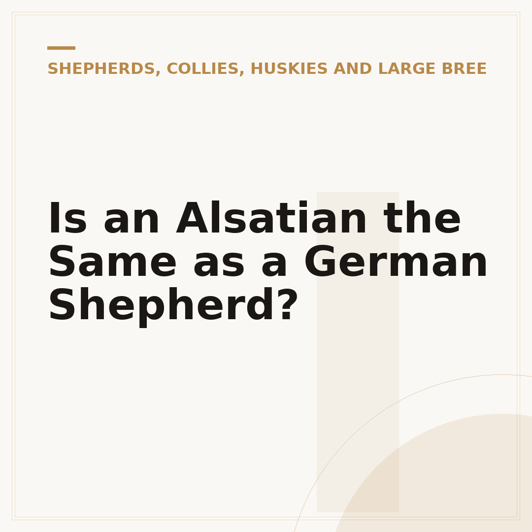 Is an Alsatian the Same as a German Shepherd?
