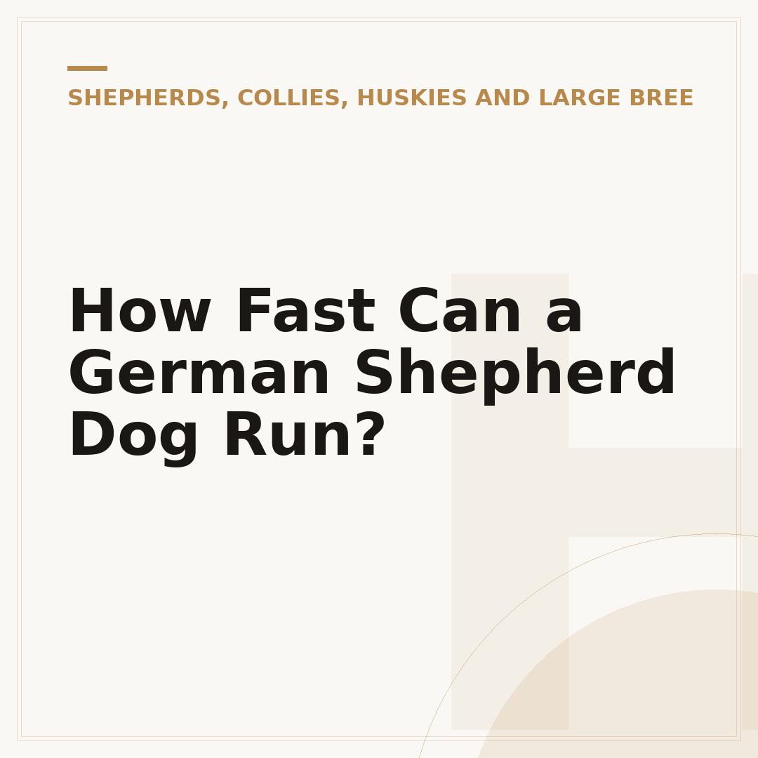 How Fast Can a German Shepherd Dog Run?